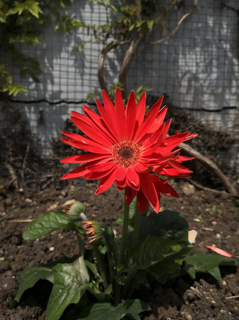 Soudure en gros plan